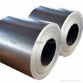China BS1387 galvanized seamless steel plate&coil supplier 3