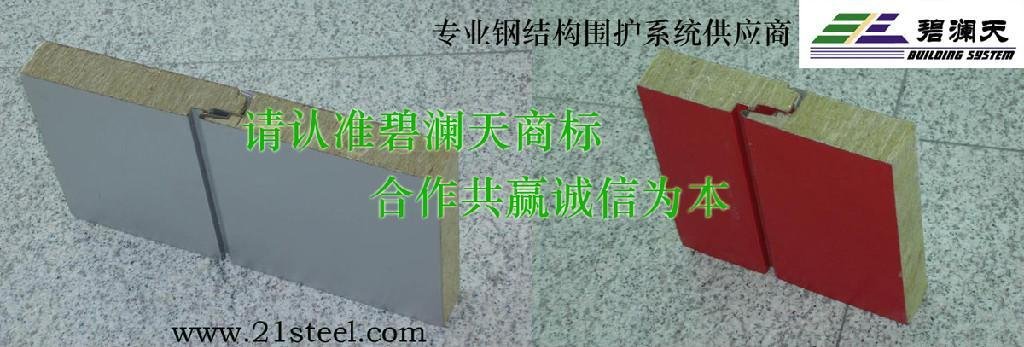 聚氨酯 (PU) 彩钢夹芯板 2