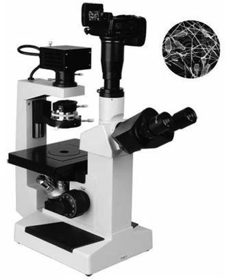 PHM-60倒置相衬显微镜