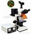 FM-50研究型熒光顯微鏡 3