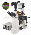 FM-50研究型荧光显微镜 4