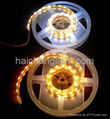 LED flexible strips 5050-60 Waterproof