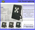 LED flood lighting 1