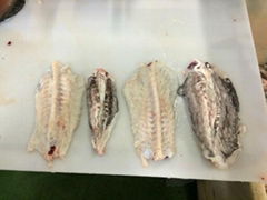 Atlantic Cod Backbones with Bladder