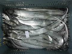 Ribbonfish WR Hook Catch