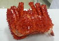 King Crab 1