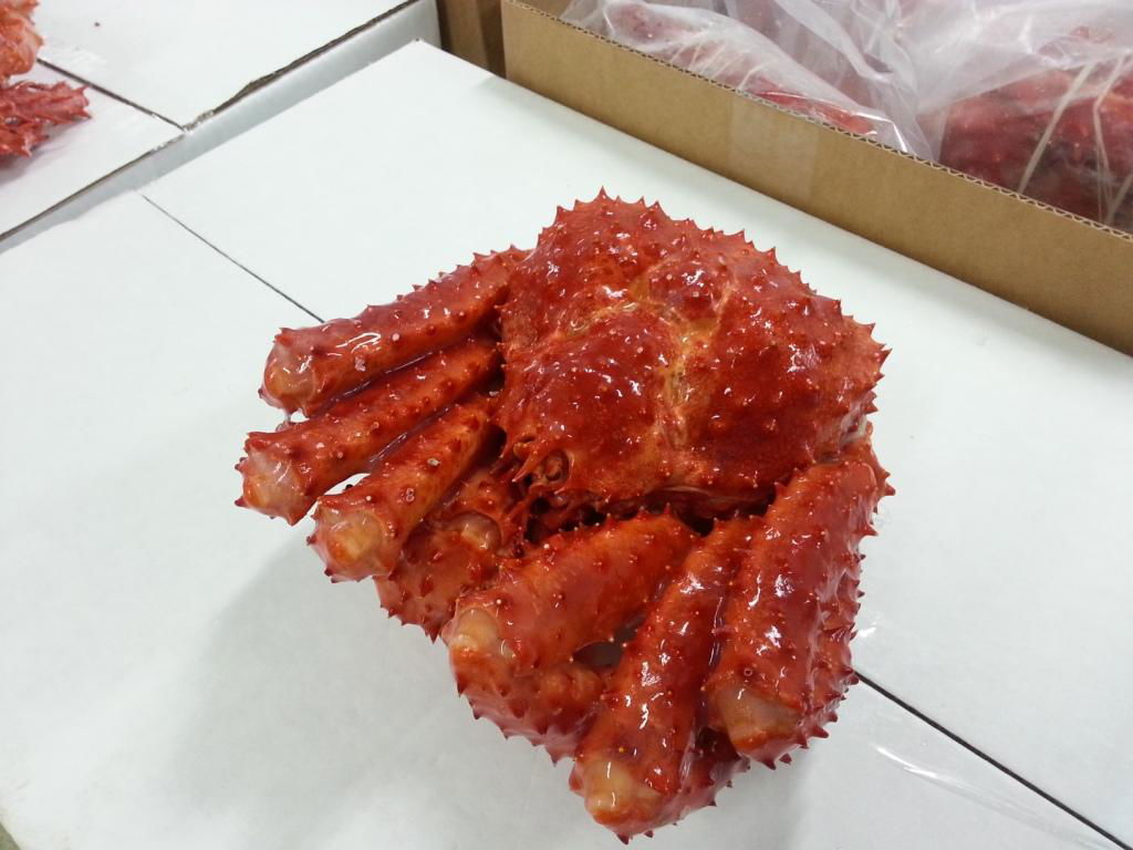 King Crab 2