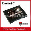 Copy protection SSD hard drive