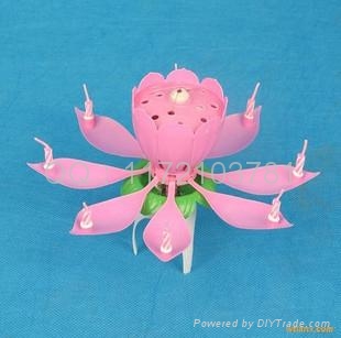 荷花生日蠟燭 2