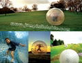 shing zorb ball