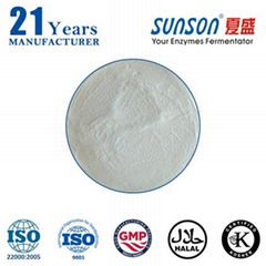 Food grade glucose oxidase enzyme for flour and baking additive