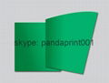 Offset Printing Plate 1