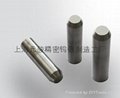 High Quality For Tungsten Carbide Nail Punching Die