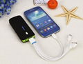 Portable Power Bank 13