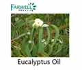 Farwell Eucalyptus Oil CAS 8000-48-4 1