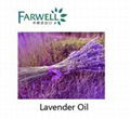 Farwell Lavender Oil CAS 8000-28-0