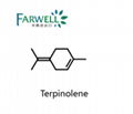 Farwell Terpinolene CAS 586-62-9 2