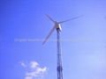 New style 10kw wind turbine 