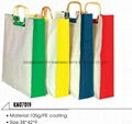 canvas bag 1