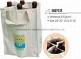 canvas bag 1