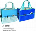 cooler bag 1