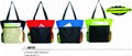 polyester bag 1