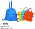 non-woven bag