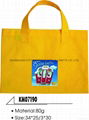 non-woven bag