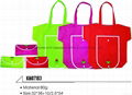 non-woven bag 1