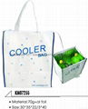 cooler bag 4