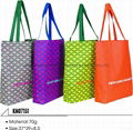 non-woven bag 6