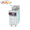 Electric Deep Fryer with Temperature