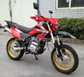 China new dirt bike motocross 250 1