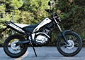 2015 China new dirt bike tricker250  1