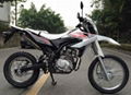 china dirt bike WR250 1