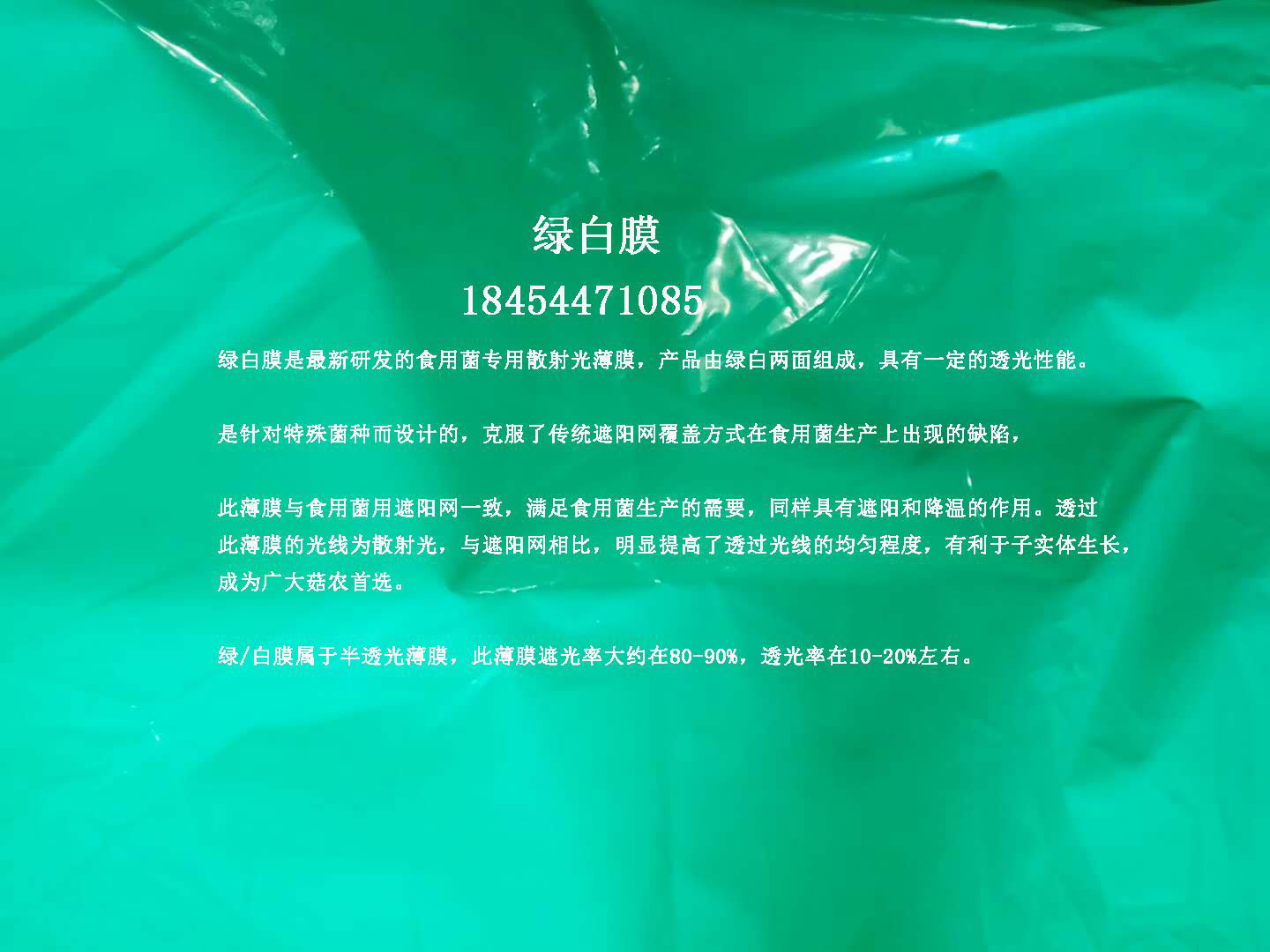 绿白膜食菌种大棚膜香菇膜 2