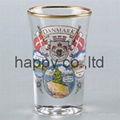 Colourful Shot Glass