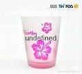 Sandblast  Etch Logo Shot Glass