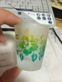 Sandblast  Etch Logo Shot Glass