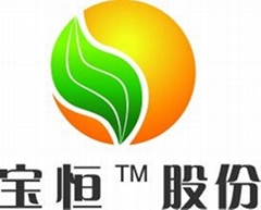 上海宝恒能源材料股份有限公司