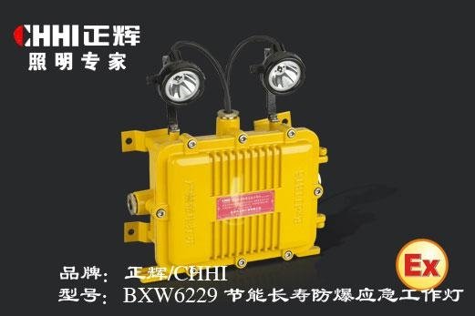 節能長壽防爆應急工作燈 BXW6229   正輝照明