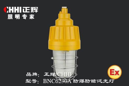 防爆防眩泛光灯 BNC6230A  /正辉照明