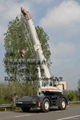 SALE 30T ROUGH TERRAIN CRANE