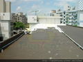 Roof Waterproofing Membrane