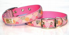 pet collar