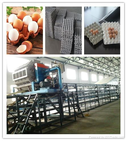 Egg Tray Production Line 