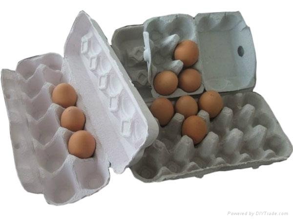 Egg Tray Production lIne  2