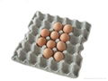 FC-mini-3 egg tray machine  3