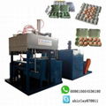 Egg Tray Molding Machine