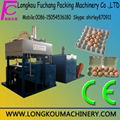 Paper Pulp Moulding Machine